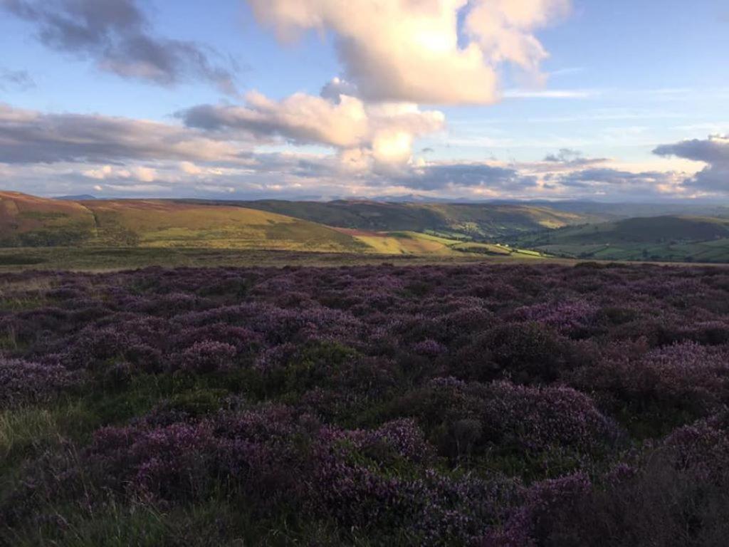 Nant-Y-Glyn Villa Llandrindod Wells Buitenkant foto